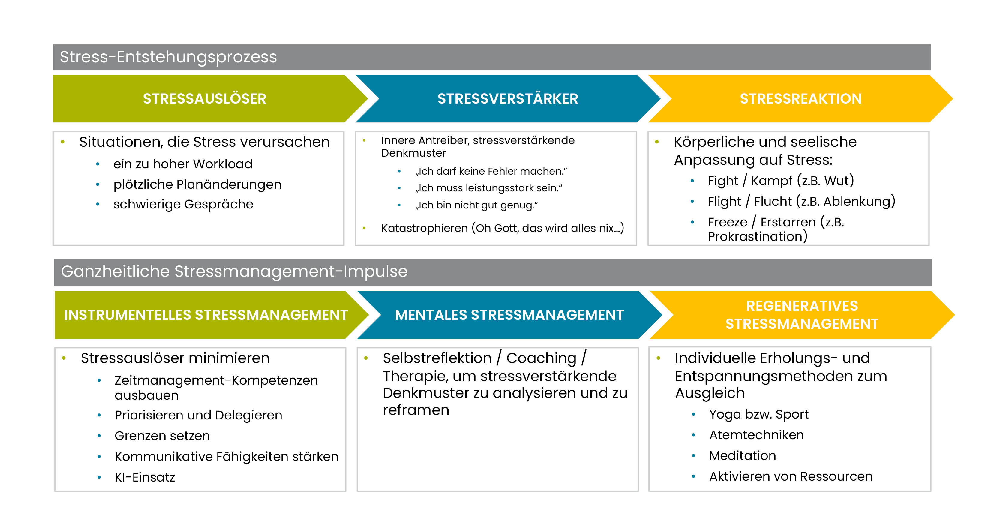 Lerne den Prozesse hinter der Entstehung von Stress kennen.